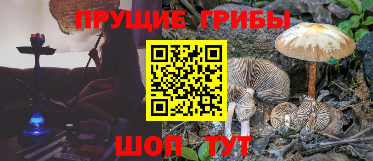 Псилоцибиновые грибы прущие грибы  Вход с VPN  где купить   Галлюциногенные грибы прущие грибы  Златоуст 