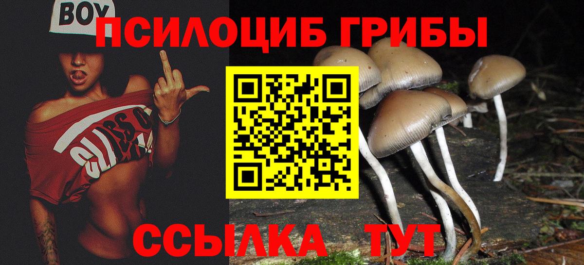 Галлюциногенные грибы Psilocybine cubensis Златоуст
